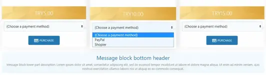 payment-metod.webp