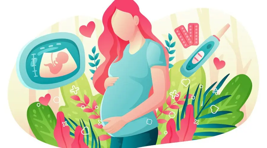 [XTR] Pregnancy Calendar